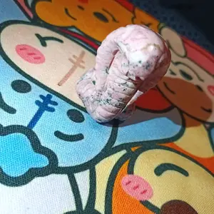 Peruvian Rhodenite cobra