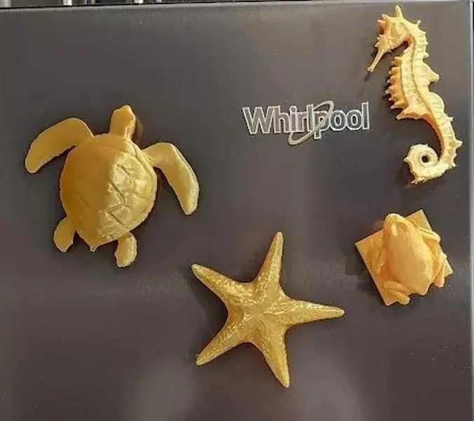 Refrigerator or Mailbox Beach Magnets Set of 4 Gold Silk - Assortment