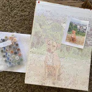 Custom Paint By Numbers