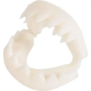 Great White Shark Teeth