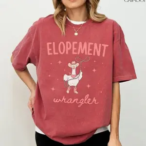 Comfort Colors Elopement Expert TShirt Funny ABA Therapist Tee BCBA RBT Behavior Analyst Gift Goose Humor T-Shirt Special Education Teacher