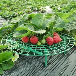 20pcs Strawberry Plant Support, Large Size Strawberry Growing Racks, Strawberry Growing Frame, Keep Garden Strawberries Clean, Garden Grid
