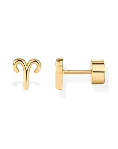 PAVOI 14K Gold Plated Sterling Silver Posts Zodiac Sign Flat Back Earring Studs | Birthday Gift for Women | Astrology Earring Pair