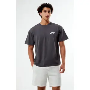 Formula 1 Men's x Pacsun Spain Mosaic T-Shirt - Multicolor