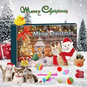 Cat Lover Holiday Calendar, 24 Surprise Christmas Countdown Boxes, Cute Acrylic Cat Ornaments, Women Gift, Christmas Tree Decorations