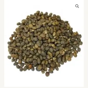 Cleansers Seed (17 Whole Seeds / 17 Grenn Antye) – Natural Seeds| Safeleve