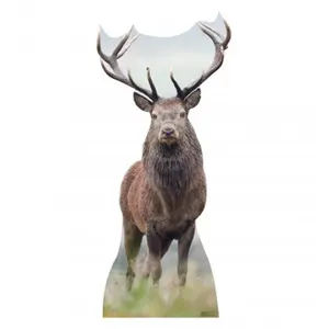 Advanced Graphics 1817 Deer Cardboard Cutout, Home Decor Standup for Home Supplies