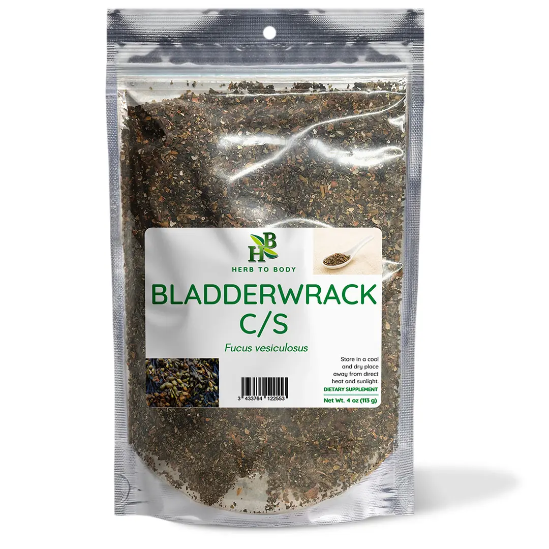 Bladderwrack – 4 oz (113 g) | Cut & Sifted Dried Sea Vegetable for Herbal Tea | Herb To Body
