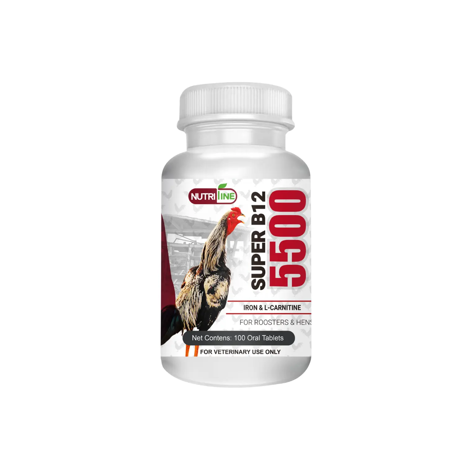 Liquid Multivitamin Supplement for Pigeons, Daily Vitamins, Minerals & Amino Acids, Nutritional Support for Racing, Breeding & Recovery, 60ml