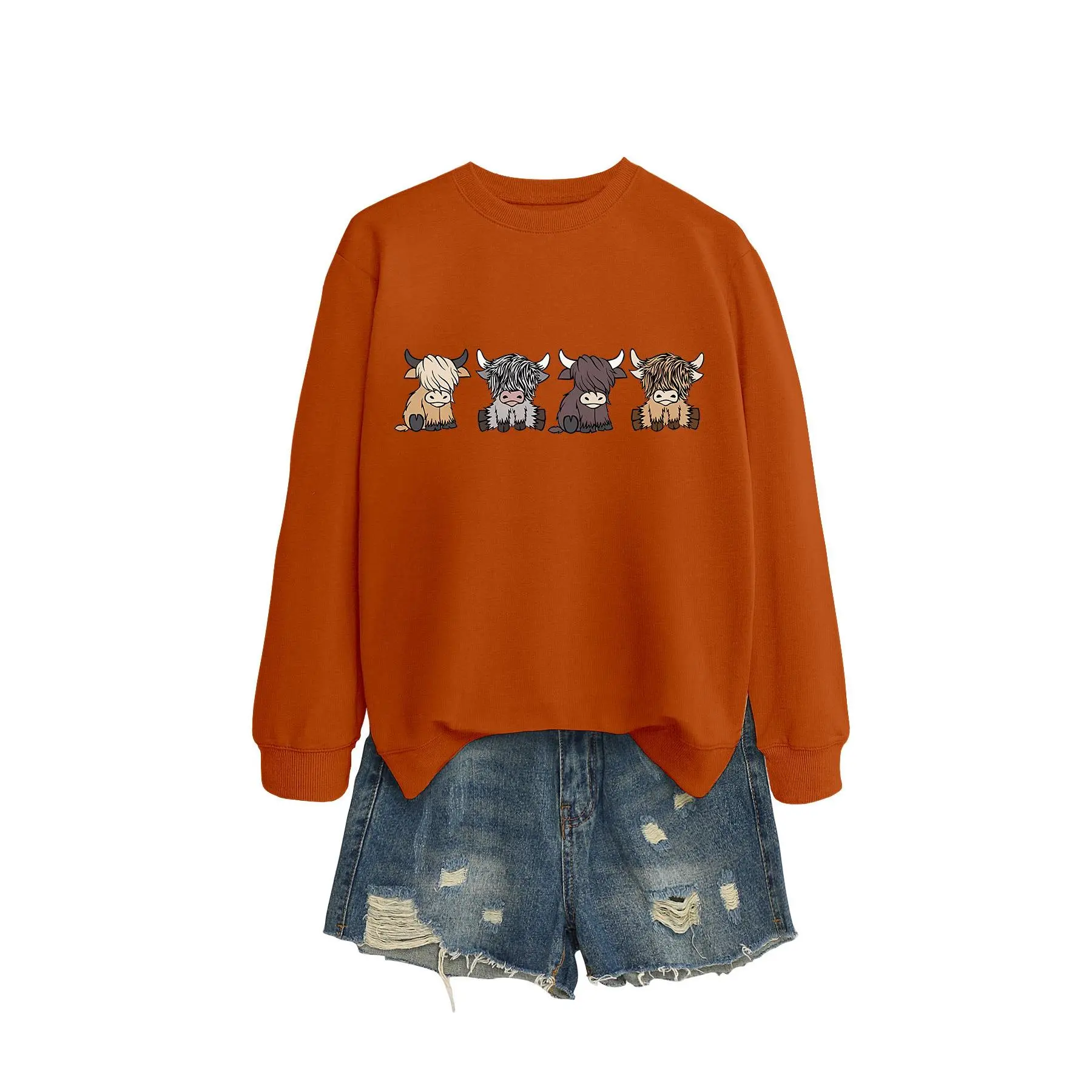 Jiaoorange sweatshirt (color picture)