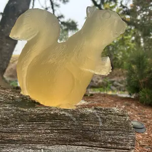 Ballistic Gel Squirrel Target