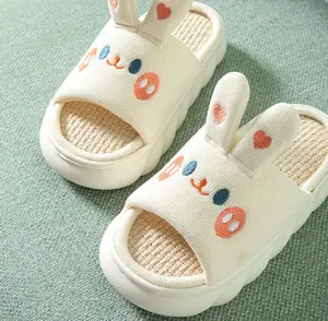 Pantuflas De Dibujos Animados