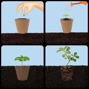 40Pcs 3.15 Inch Peat Pots, Biodegradable Eco-Friendly Round Plant Seedling Starters Kit, Seed Germination Trays with 10 Labels for Flower Vegetable Tomato Saplings & Herb Germination, Khaki