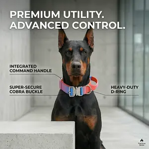 Heavy Duty Tactical Dog Collar with Handle, Adjustable Gradient Pet Collar for Medium Large Dogs
