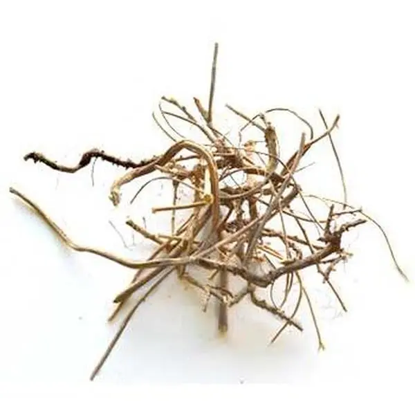 Devils Shoestring Whole 1oz