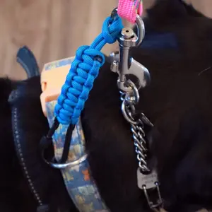 Prong Collar Safety Clip