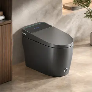 ARCH Smart One-Piece Toilet with Bidet Built In, Intelligent Toilet Auto Open/Close Seat, Warm Water, Dryer, Heated Seat, Night Light, Foot Sensor Flush, Remote Control, Ceramic, Gray, Modern Bathroom Upgrade, Gray Color Options, Ceramic Material