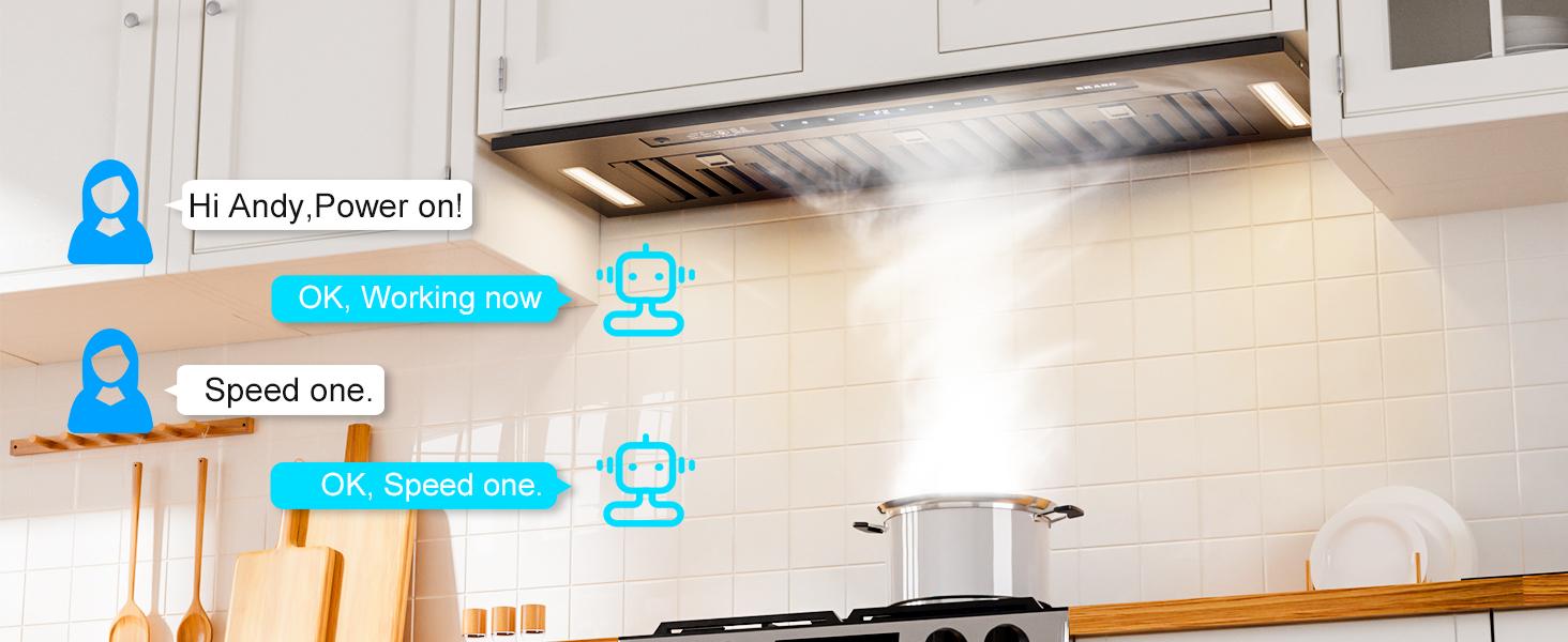 BRANO Range Hood Insert 36 Inch, 900 CFM Voice/Gesture/Touch Control Build-in Kitchen Hood Vent with 4 Speed Exhaust Fan, Memory Mode, Adjustable Lights, Ducted/Ductless Convertible