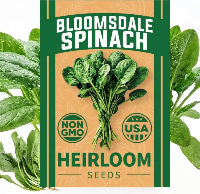 Spinach Seeds for Planting Bloomsdale Variety Non GMO Heirloom Vegetable Seeds Dark Green Crinkled Leaf Spinach Fast Growing Cold Resistant Garden Plants Hydroponic Growing And Home Fresh Harvest