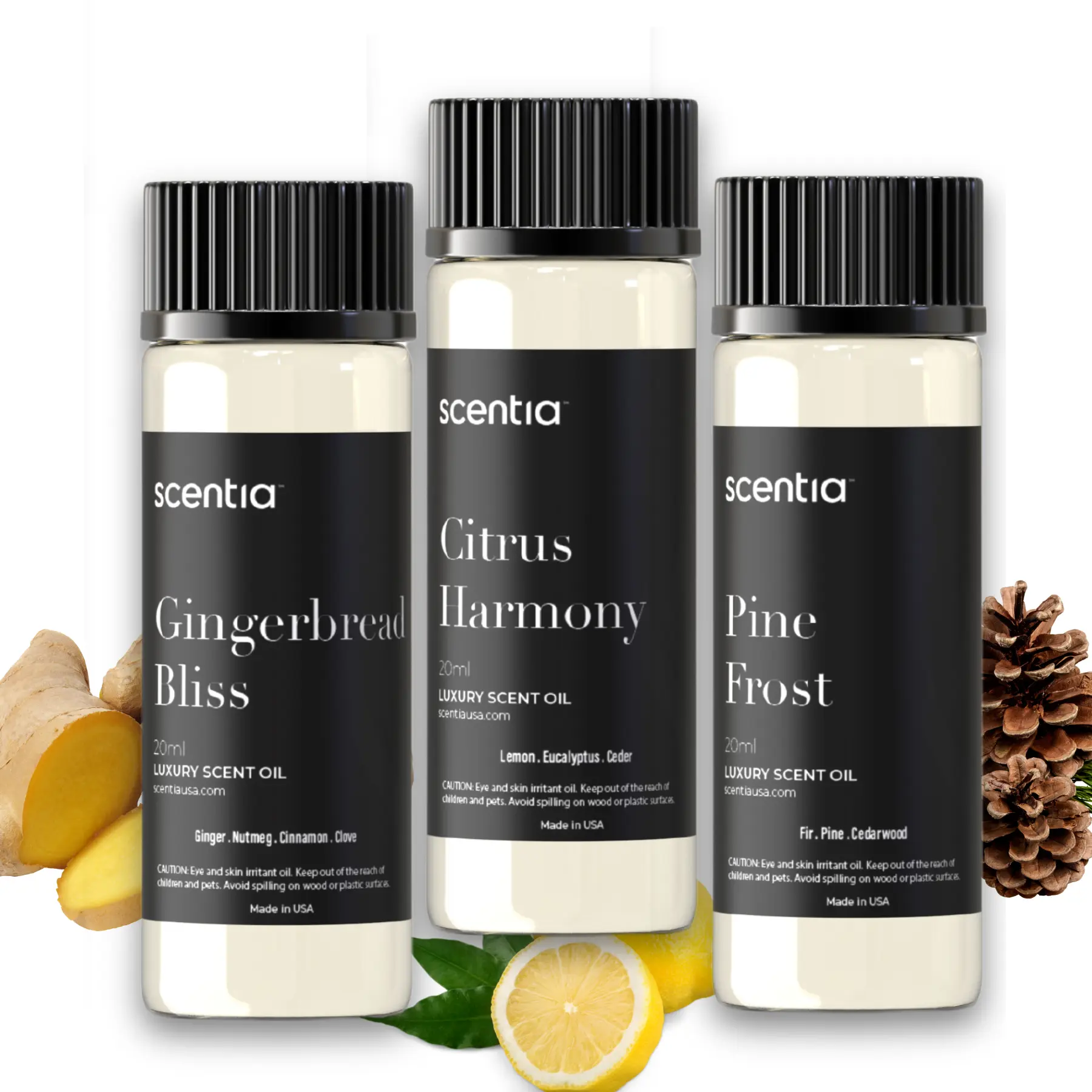 Scentia Cozy Pine Gingerbread Aromatic Sweet Scent Fragrance Oil Discovery Set - 3x20ml Essential Blend Scented Oils, Long-Lasting Aromatherapy for Diffusers, Home Supplies for Fall Lovers' Living Room Holiday DIY Gift, Natural Fragrance Scented Oils