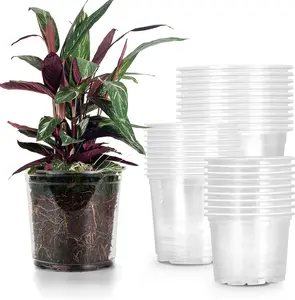 30 Pack 5/6/7 Inch Reinforced  Pots with Drainage Holes, Transparent Plastic  Pots for Seedlings, Clear Seed Starters