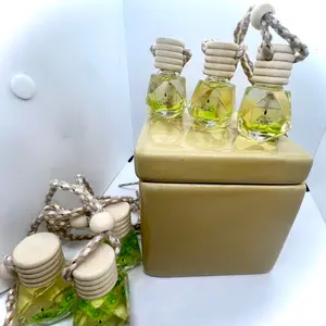 Kiwi blast car diffuser