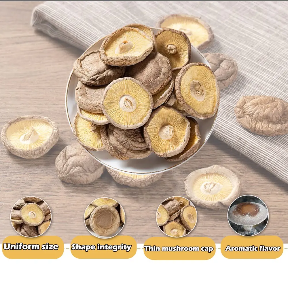 Dried Shiitake Mushrooms for Cooking, Pure Aroma Thin Cap without Stem, Rehydrate Quickly, Soft Texture Dry Mushrooms Shiitake Perfect for Summer Barbecue