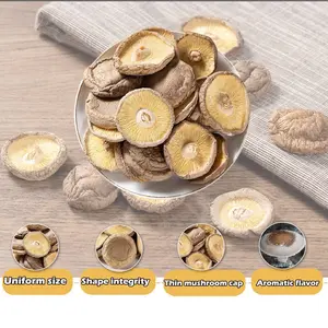 Dried Shiitake Mushrooms for Cooking, Pure Aroma Thin Cap without Stem, Rehydrate Quickly, Soft Texture Dry Mushrooms Shiitake Perfect for Summer Barbecue