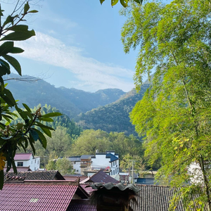 ArtisaEnclave