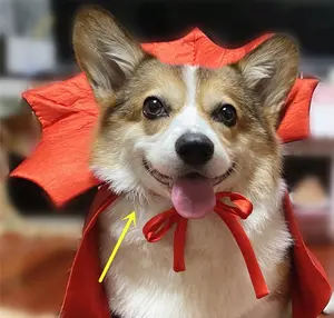 Halloween Pet Costume pet Cape Vampire King