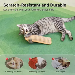 Revitalize your indoor kitten with our kicker toy, featuring 6000mg of Grade A organic catnip inside a soft sisal cover.It's designed to trigger hunting instincts, combat boredom, and drive cats crazy with endless kicking, scratching, and interactive fun