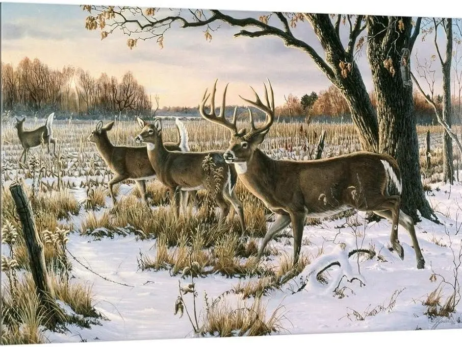 Cautious Crossing - Whitetails Canvas Wall Art Print by Wilhelm Goebel, Contemporary, Home Decor, Deer, Natural Artwork Artistic Decoration Ornaments Poster