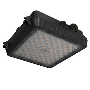 E2 LIGHTING LED Canopy Fixture 55W CCT 3k-4K-5K and Wattage Tunable 120-277V