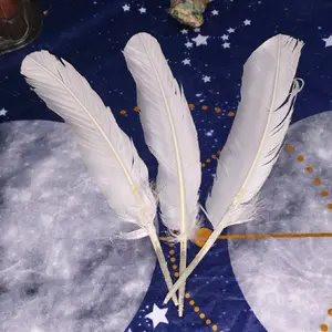 White Feather