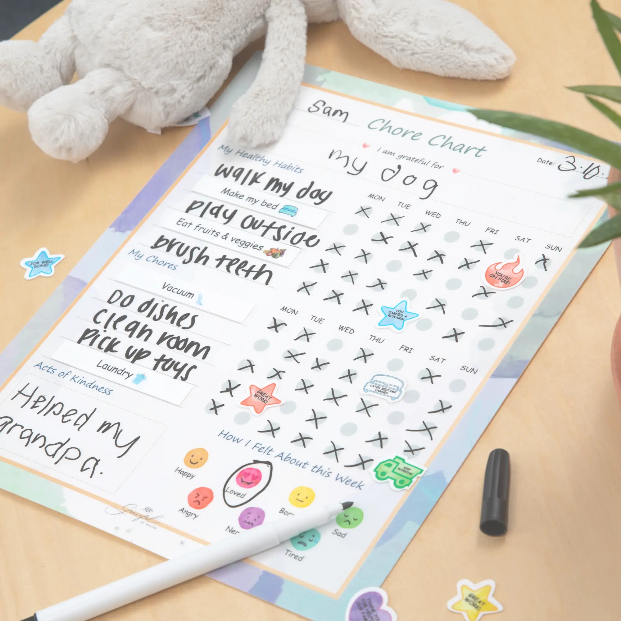 Flexible Stick Weekly Chore Chart and Emotion Tracker for Kids - For Any Flat Surface
