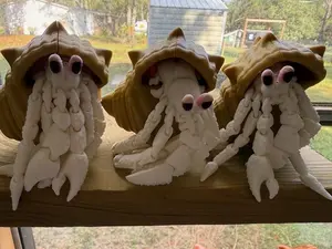 Hermit Crab - Medium Size - 4" Tall 6" Long