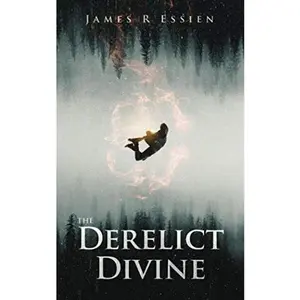 USED-The Derelict Divine by James R Essien (Paperback)
