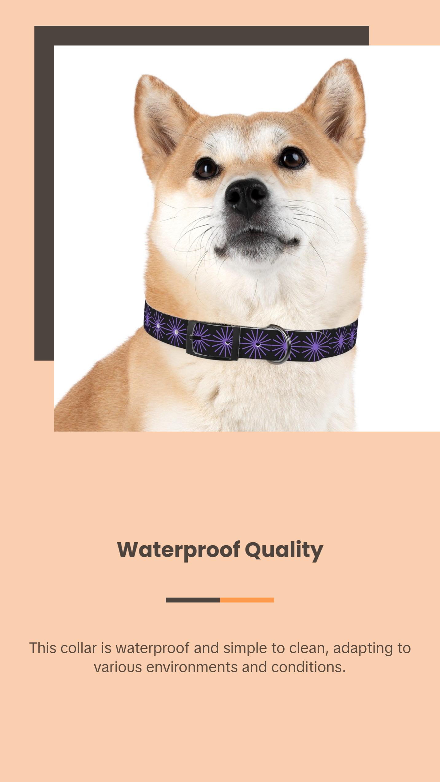 Black and purple star dog collar