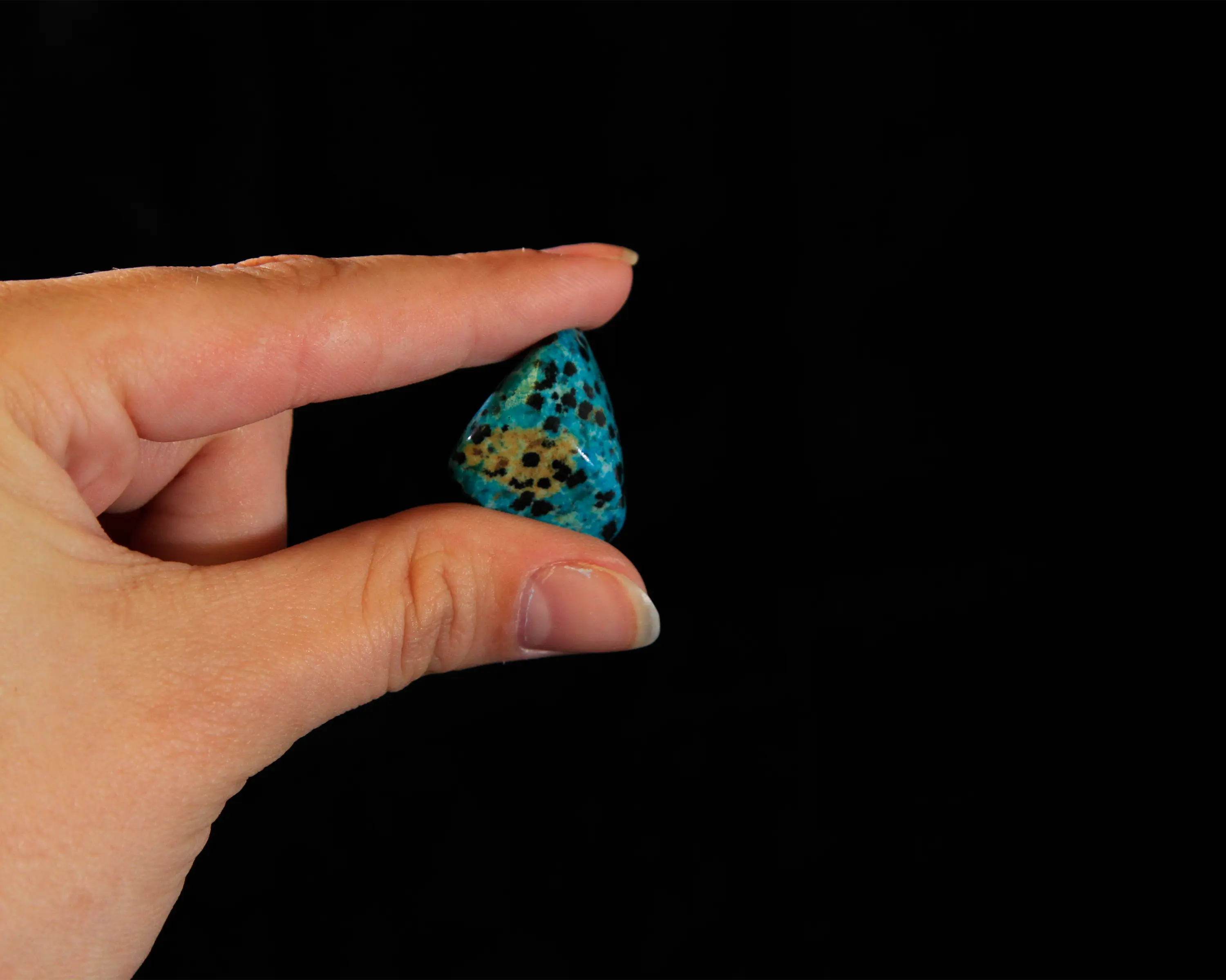 1lb of Tumbled Blue Dalmatian Jasper