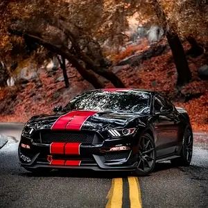 Car roof line decal decoration items include hood, roof, and rear decal, car stickers, Accessories For Car, car accessories, Stickers For Cars, stickers para trocas