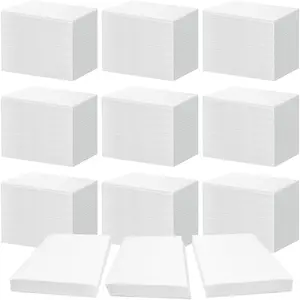 900 Pcs Loads Laundry Detergent Sheets Bulk No Leak Anti Sensitive Soap Liquidless Laundry Supplies for Home Dorm (Fresh)