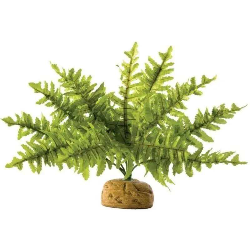 Exo Terra Boston Fern Terrarium Plant - 1 count