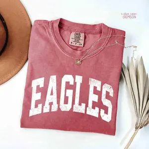 Comfort Colors Vintage Eagles T-shirt, Trendy Eagles Game Day T-shirt, College Spirit Eagle Mascot, Teacher Gameday Shirt, Tailgate Football Tee