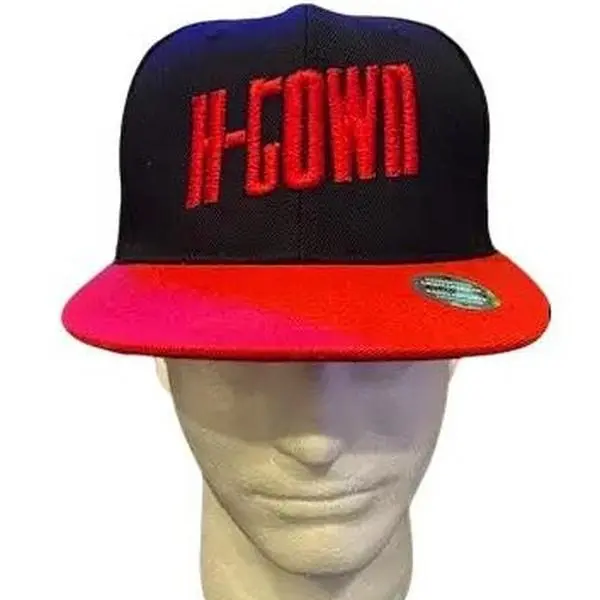 H-TOWN custom Embroidered 3d puff snapback hat