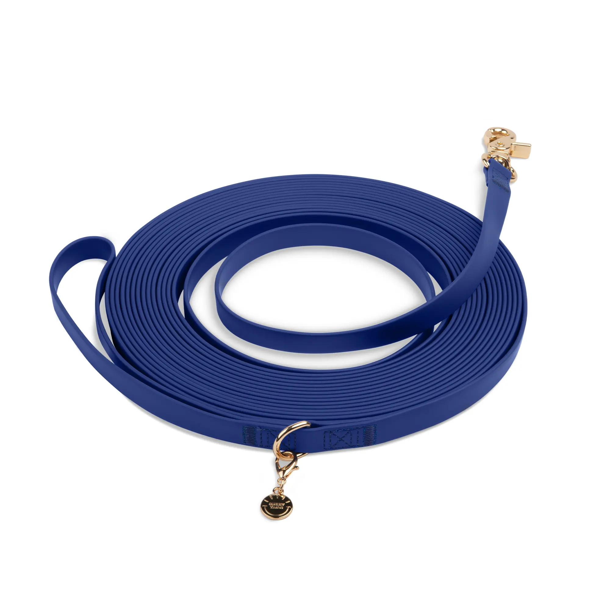 Waterproof Cloud 30 Ft Dog Leash For Dog Training Waterproof Cloud 30 Ft Dog Leash For Dog Training