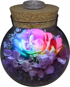Preserved Real Roses with Colorful Mood Light Wishing Bottle, Eternal Never Withered Flowers for Home Decor & Gifts (Multi)