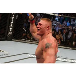 USED-UFC: Ultimate Heavyweights (Blu-ray)