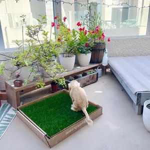 Fresh Patch Real Grass Large (24" x 24")