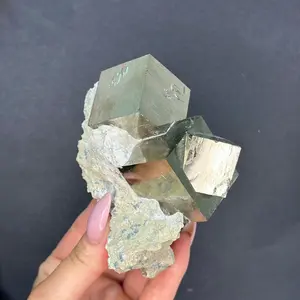 Pyrite Intergrown on Matrix | Lustrous Specimen from Navajún, Spain