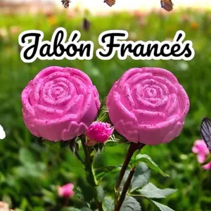 International 6  French Soap Enriched with Donkey Milk Sunflower Oil Shea Butter Cornstarch Vitamin E French Lavender 85 Grams $7.99